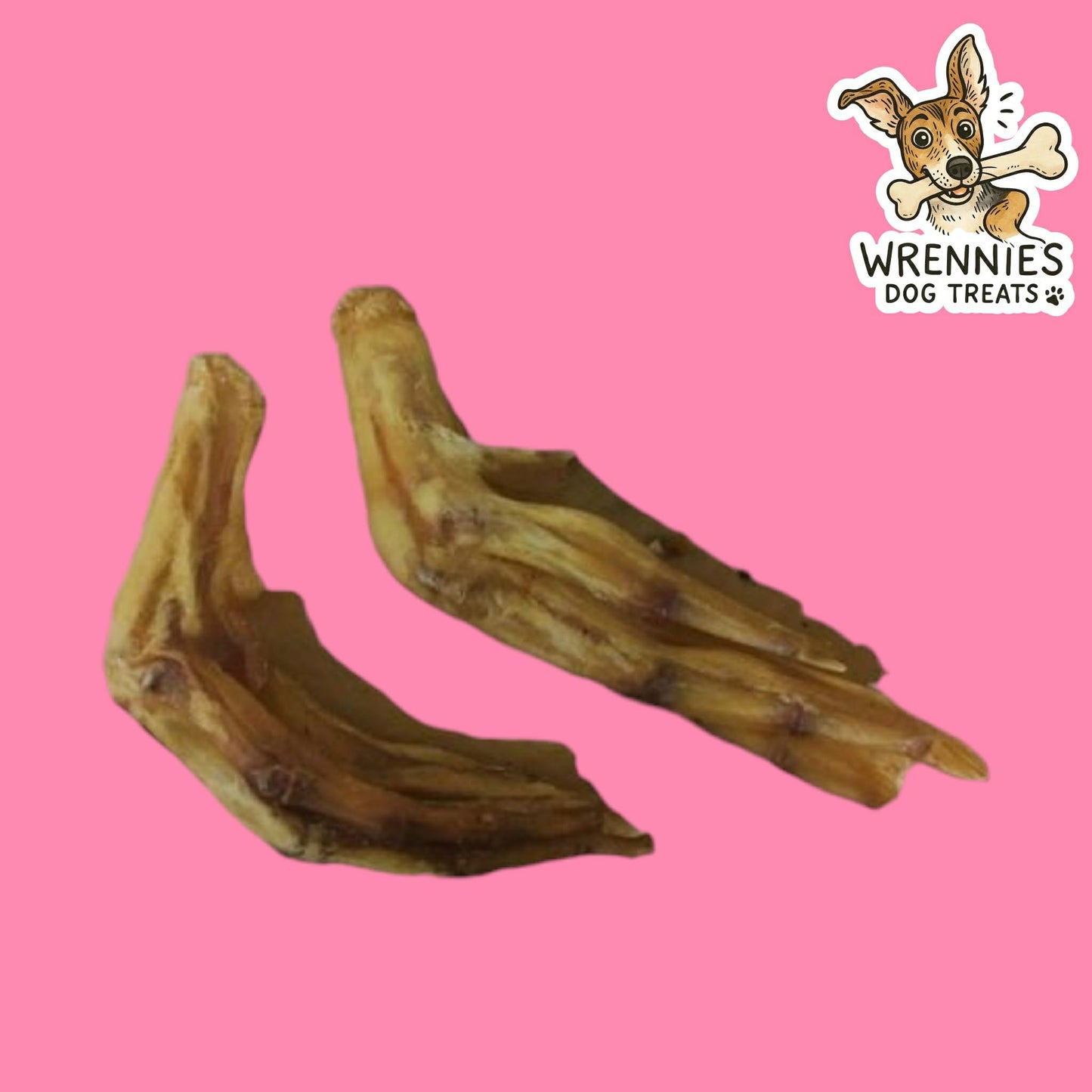 Duck Feet (5PC)