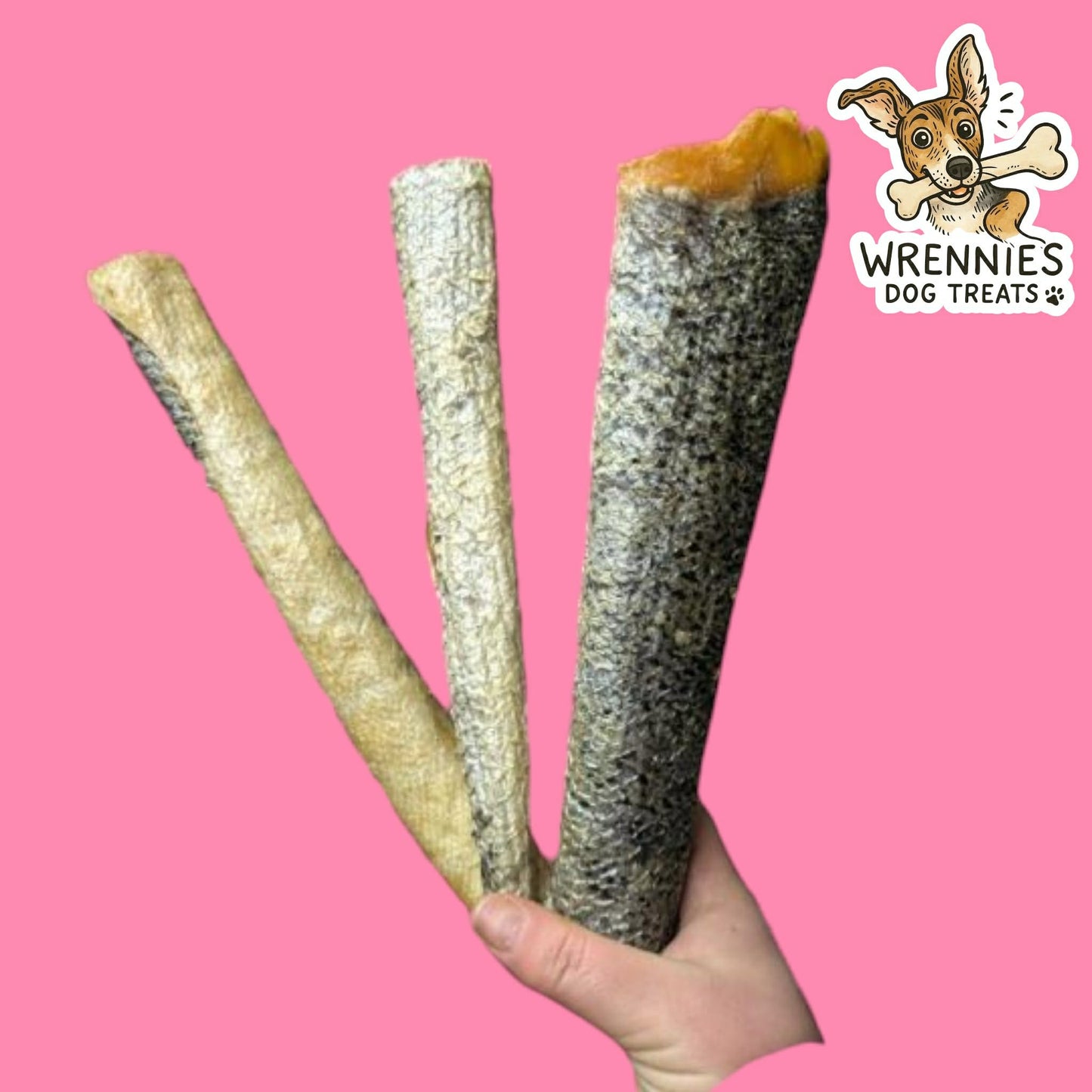 Salmon Skin Roll