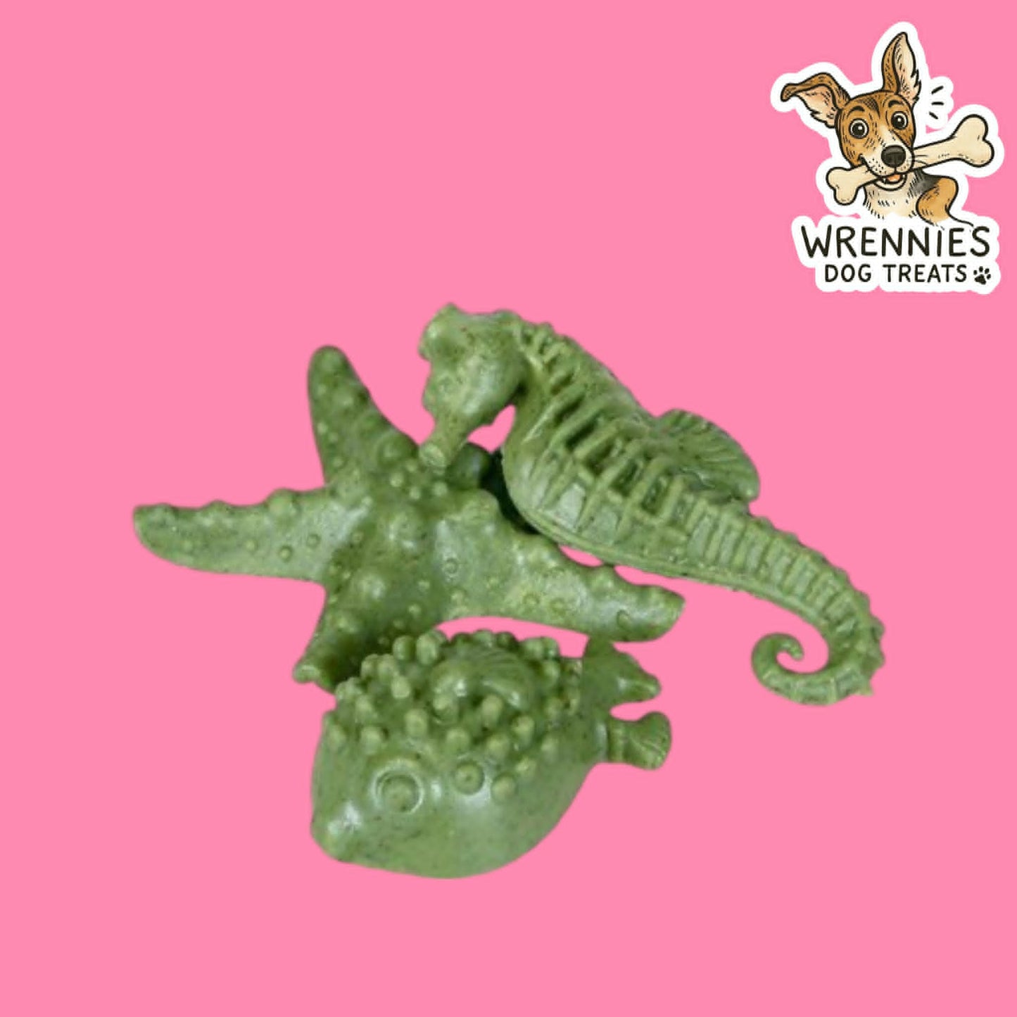Veggie Sea Creatures (3PK)