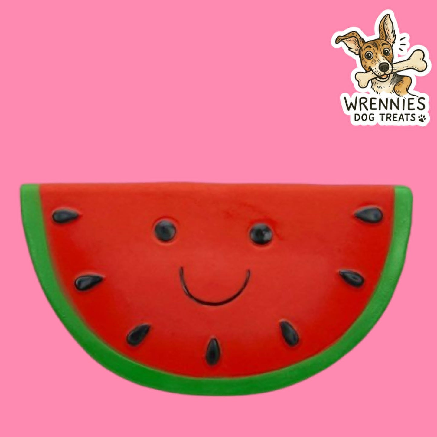 Foodie Faces Watermelon Latex Toy