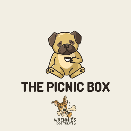 Picnic Box
