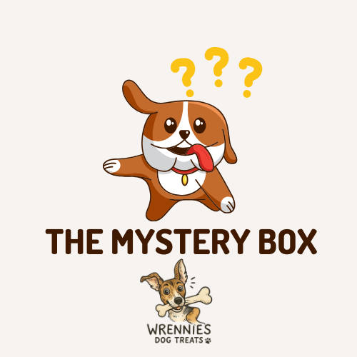 Mystery Box