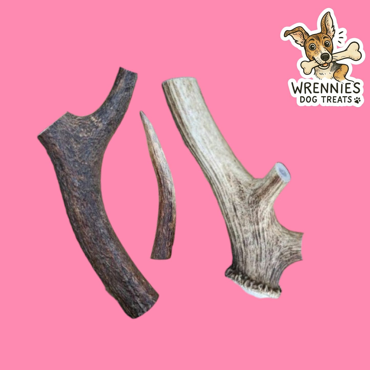 Antler