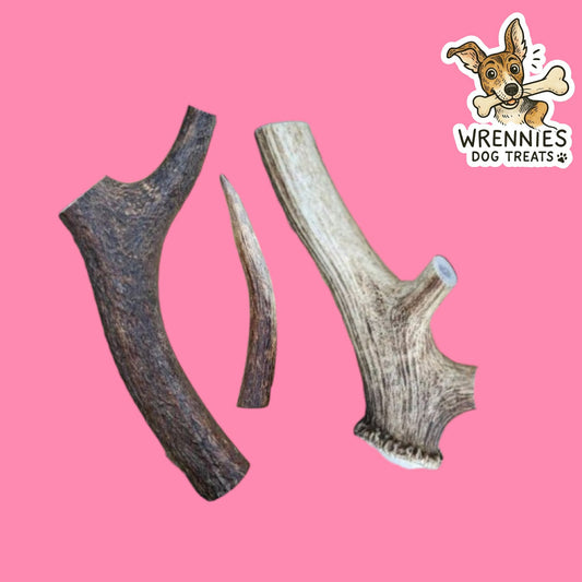 Antler