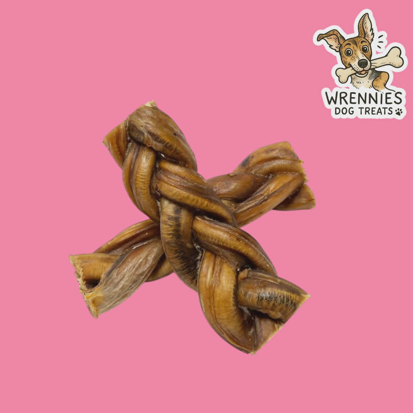 Braided Pizzle