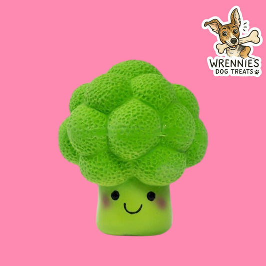 Foodie Faces Broccoli Latex Toy
