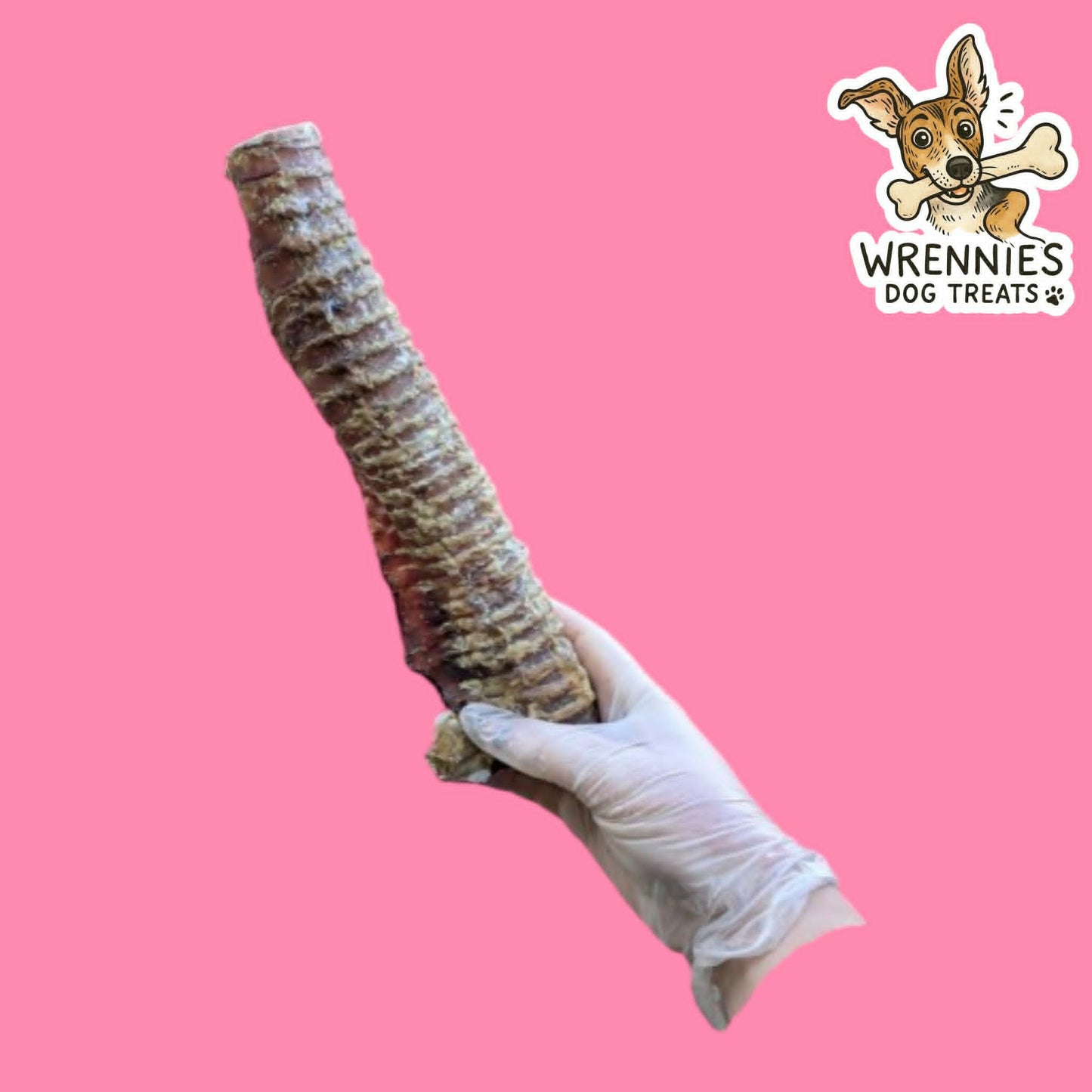 Beef Trachea