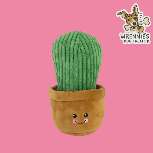 Cuddle Cactus Toy - Spiky Cactus