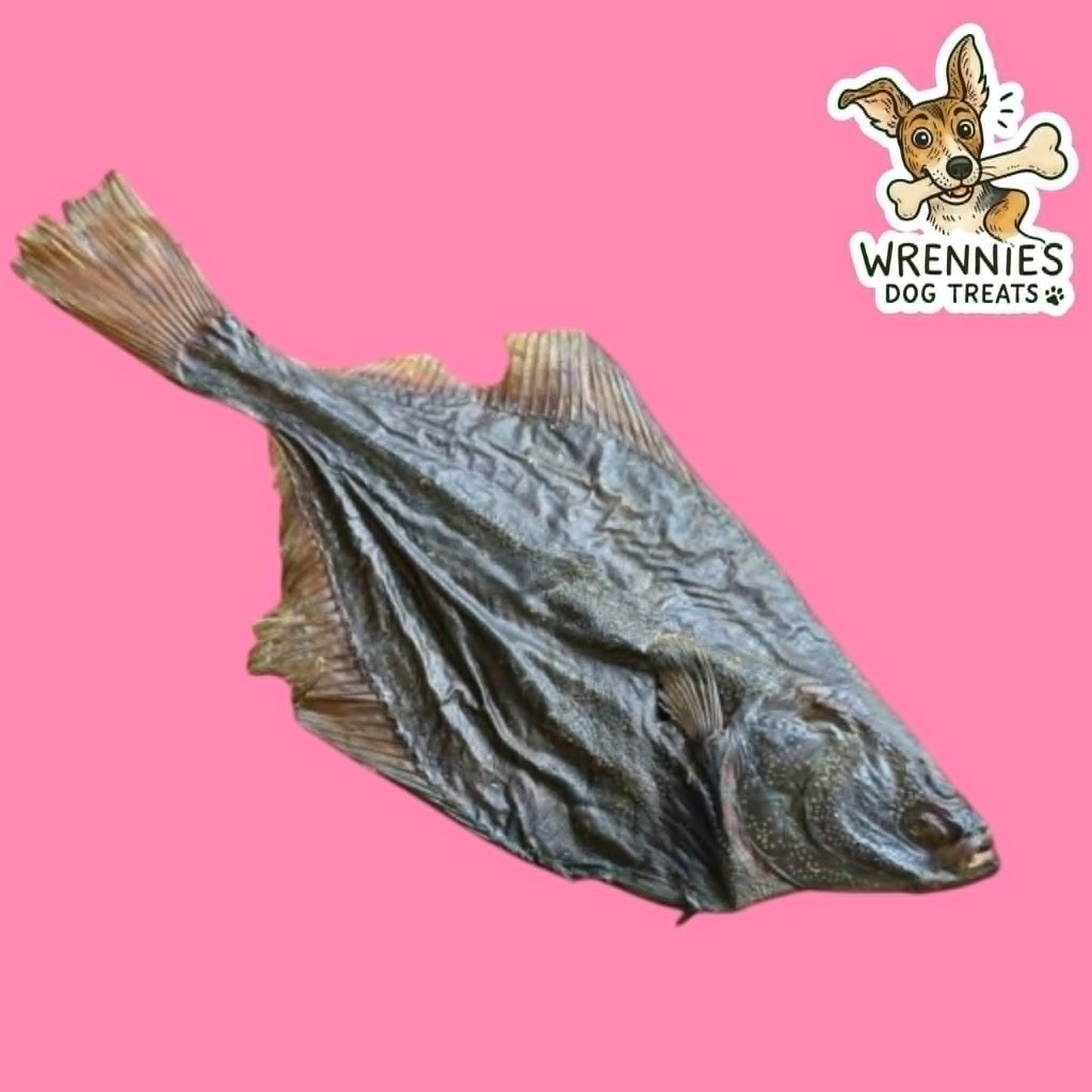 Flounder Fish