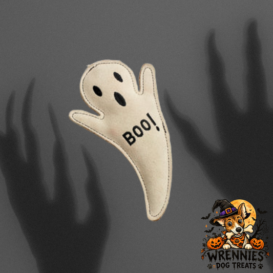 Boo Hoo Ghost - Eco Toy