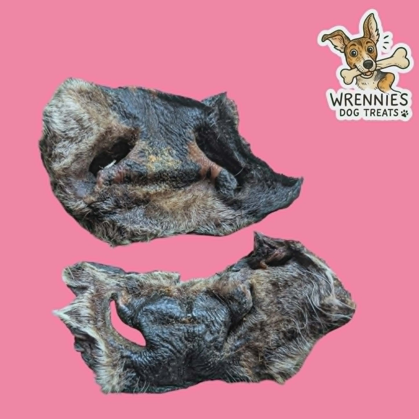 Hairy Cow Snout