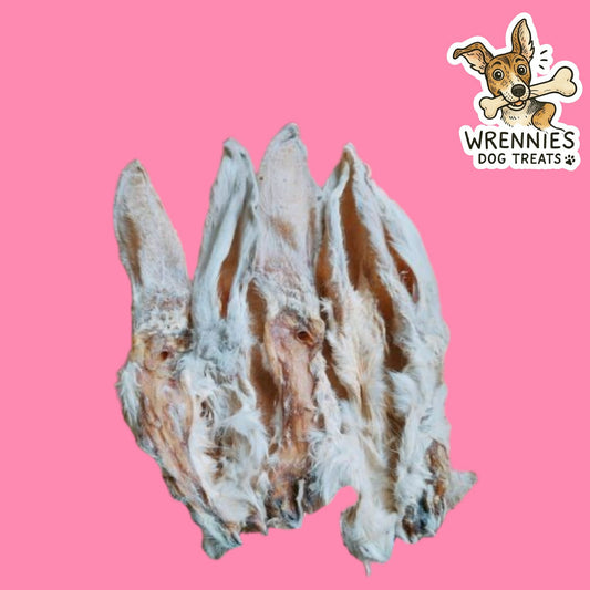 Rabbit Ears (2PC)