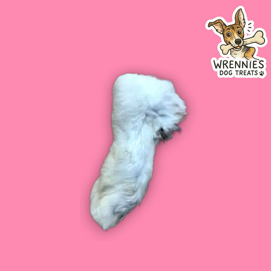 Hairy Rabbit Feet