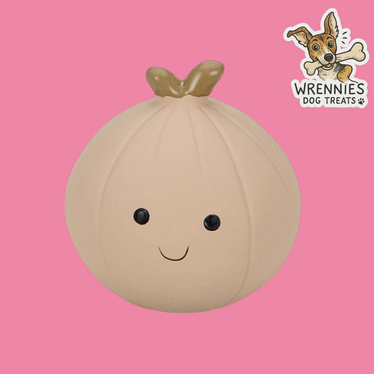 Foodie Faces Onion Latex Toy