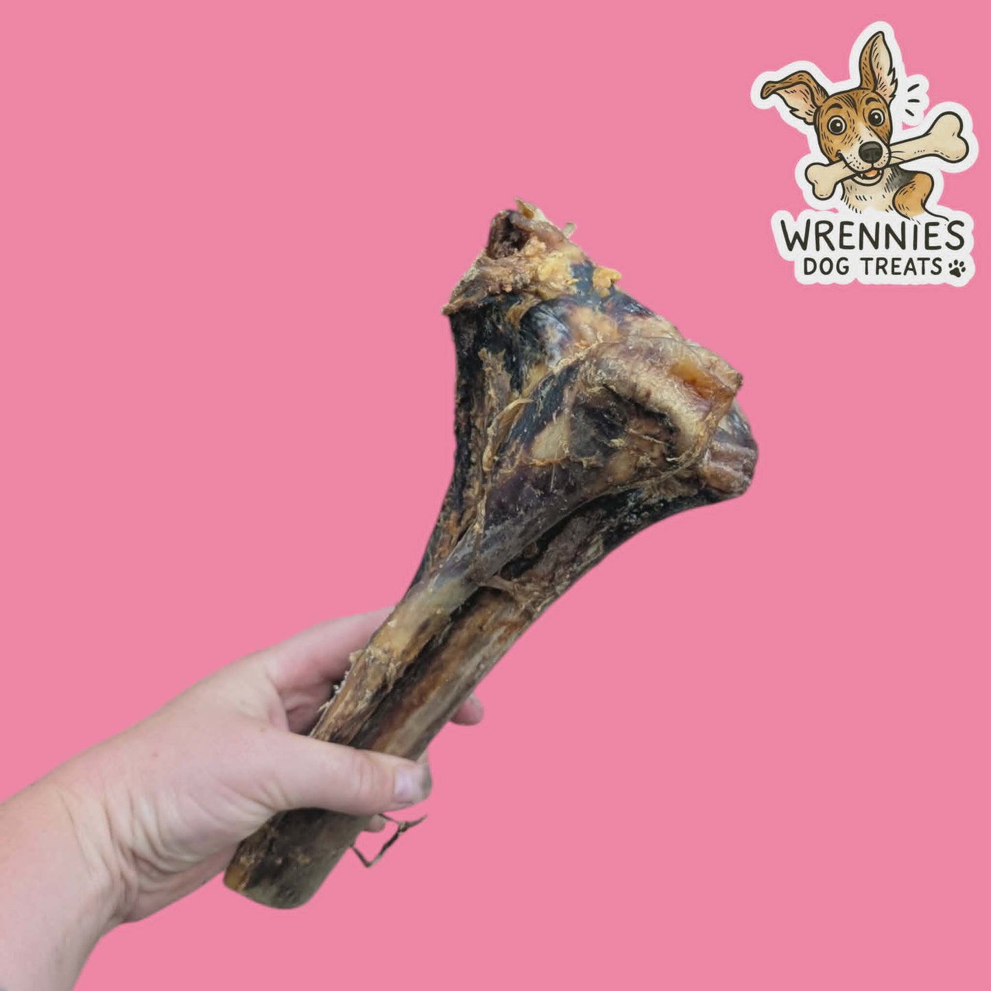 Ostrich Bone