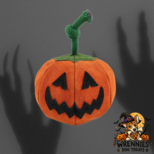 Patch The Pumpkin - Eco Toy