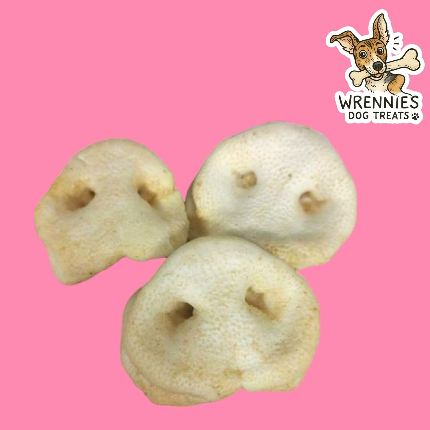 Puffed Pig Snout