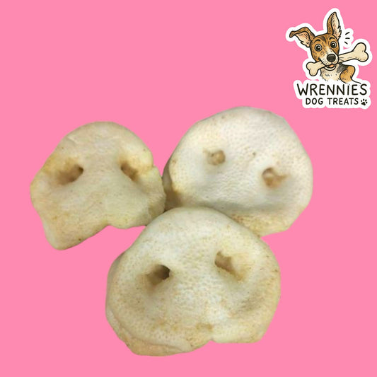 Puffed Pig Snout