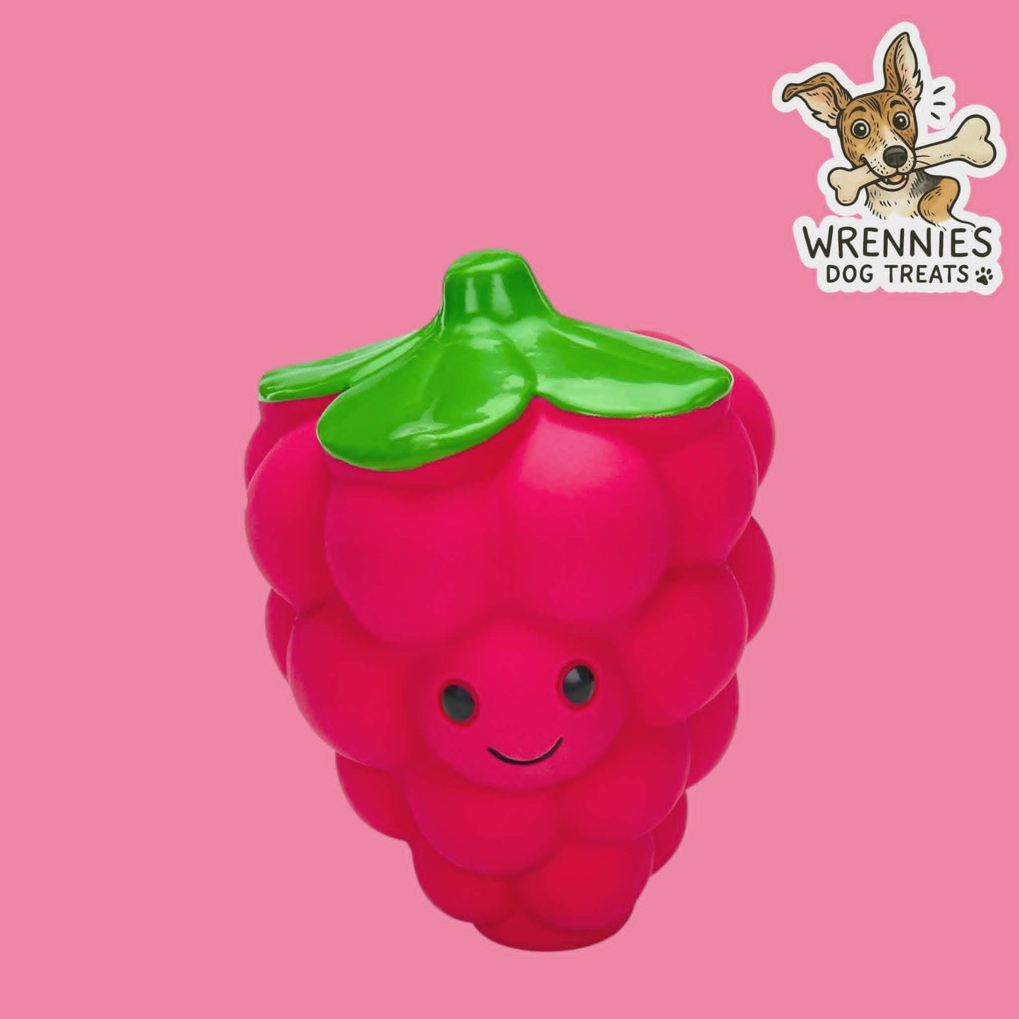 Foodie Faces Raspberry Latex Toy