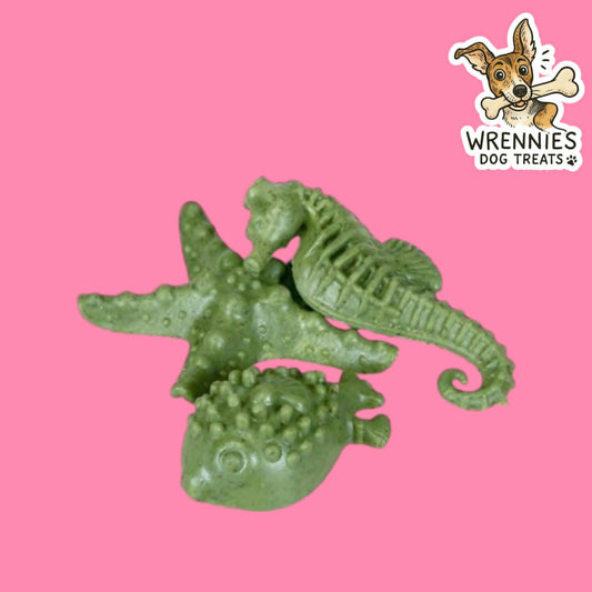 Veggie Sea Creatures (3PK)