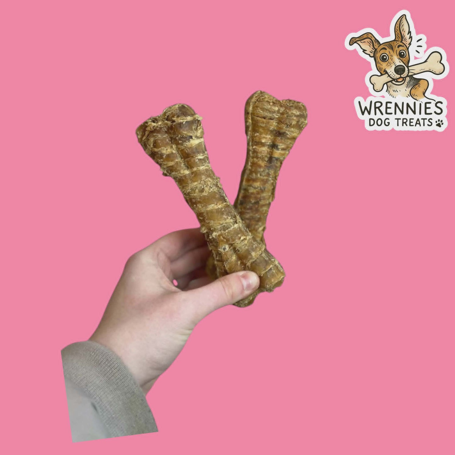 Buffalo Trachea Bone