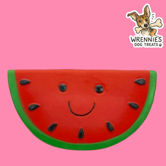 Foodie Faces Watermelon Latex Toy