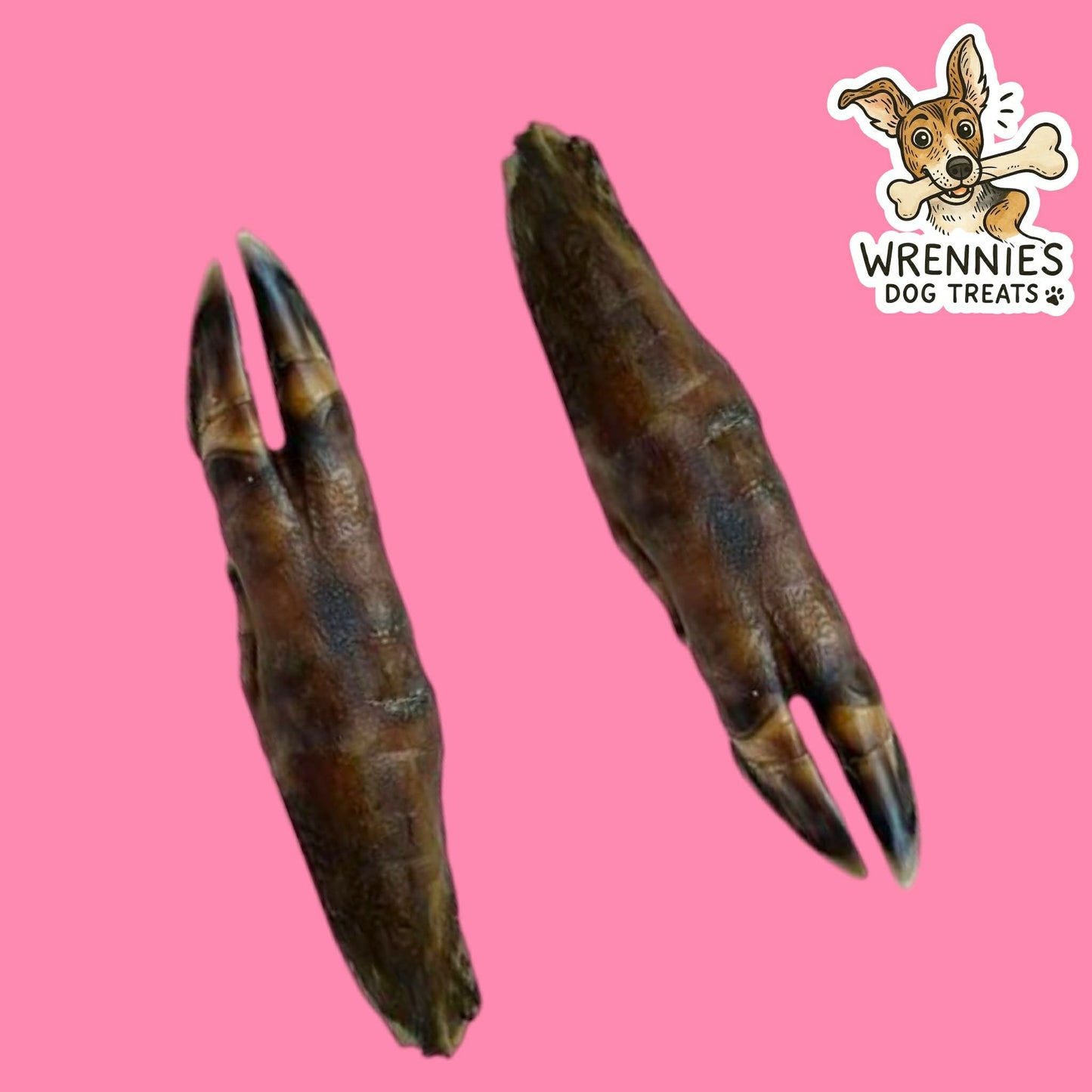 Wild Boar Trotter